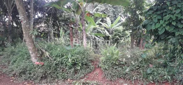 image LAHAN TANAH KOSONG STRATEGIS BELAKANG PABRIK BYD SUBANG (3)