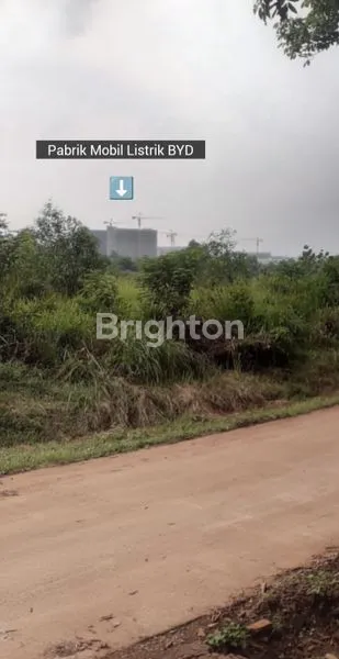 image LAHAN TANAH KOSONG STRATEGIS BELAKANG PABRIK BYD SUBANG (2)