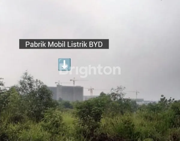 LAHAN TANAH KOSONG STRATEGIS BELAKANG PABRIK BYD SUBANG