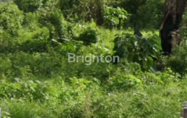 image DIJUAL TANAH 1625 M2  STRATEGIS TENGAH KOTA KEDIRI (1)