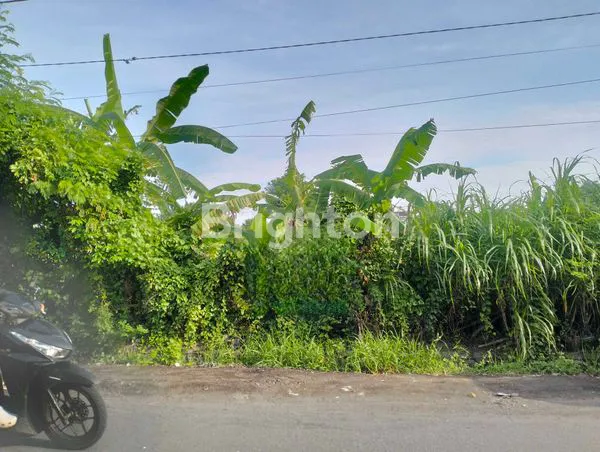 image DI SEWAKAN TANAH 23 ARE (1)