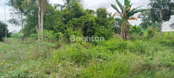 image LAHAN SHM 4.645M² DI JL PIPA INDRALAYA, LOKASI PREMIUM (3)