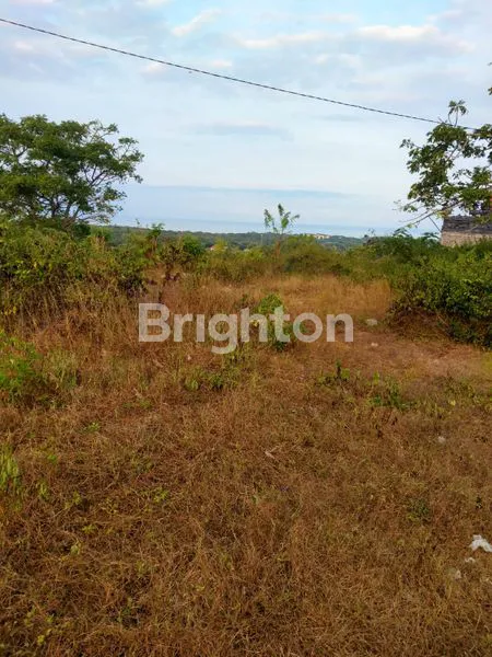 image TANAH LUAS 90 ARE DI NUSA DUA BALI, SHM (4)