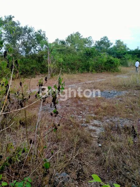 image TANAH LUAS 90 ARE DI NUSA DUA BALI, SHM (3)