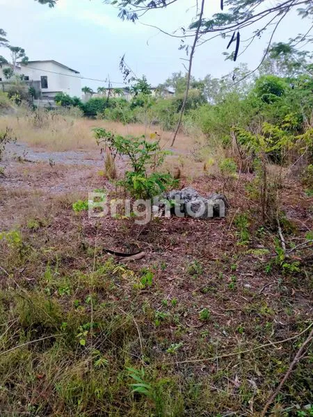 image TANAH LUAS 90 ARE DI NUSA DUA BALI, SHM (6)