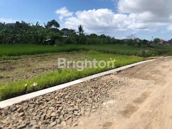 TANAH KOSONG DIAREA DENPASAR TIMUR LOKASI STRATEGIS DEKAT DENGAN PUSAT PERBELANJAAN,RS, MALL, UNIVERSITAS,PASAR TRADISIONAL, SEKOLAH, PERKANTORAN,DAN TEMPAT WISATA