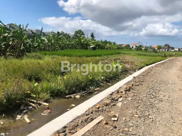 image TANAH KOSONG DIAREA DENPASAR TIMUR LOKASI STRATEGIS DEKAT DENGAN PUSAT PERBELANJAAN,RS, MALL, UNIVERSITAS,PASAR TRADISIONAL, SEKOLAH, PERKANTORAN,DAN TEMPAT WISATA  (2)