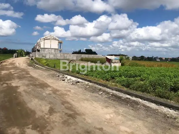 image TANAH KOSONG DIAREA DENPASAR TIMUR LOKASI STRATEGIS DEKAT DENGAN PUSAT PERBELANJAAN,RS, MALL, UNIVERSITAS,PASAR TRADISIONAL, SEKOLAH, PERKANTORAN,DAN TEMPAT WISATA  (3)