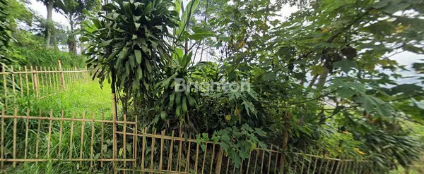 image KAVLING TANAH KOSONG DIATAS BUKIT PASIRWANGI LEMBANG (3)