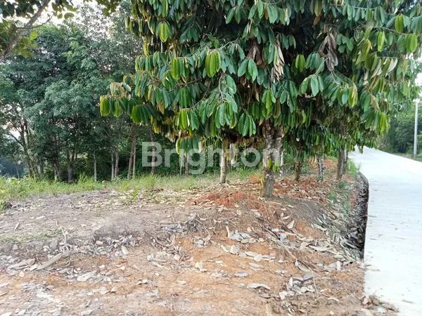 image DI JUAL TANAH LAMARU BALIKPAPAN TIMUR (1)