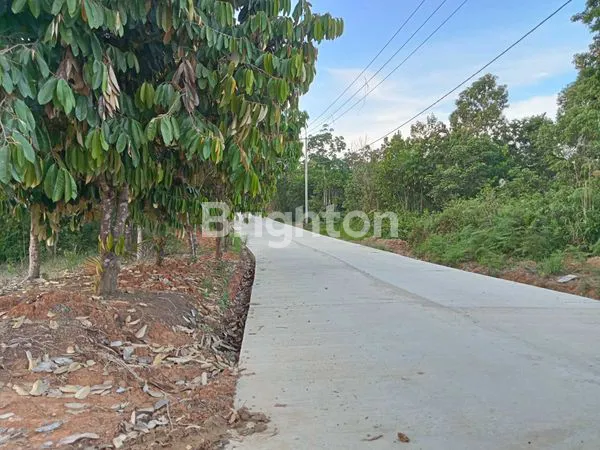 image DI JUAL TANAH LAMARU BALIKPAPAN TIMUR (2)