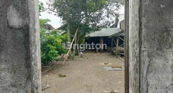 image TANAH LUAS 1000M² GRATIS RUMAH, SHM, LOKASI STRATEGIS (3)