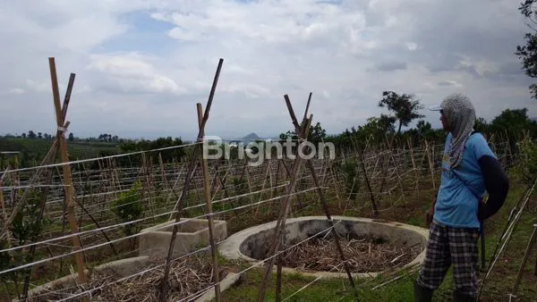 image INVESTASI TANAH PREMIUM DI BUMIAJI, LT 2.275M² (2)