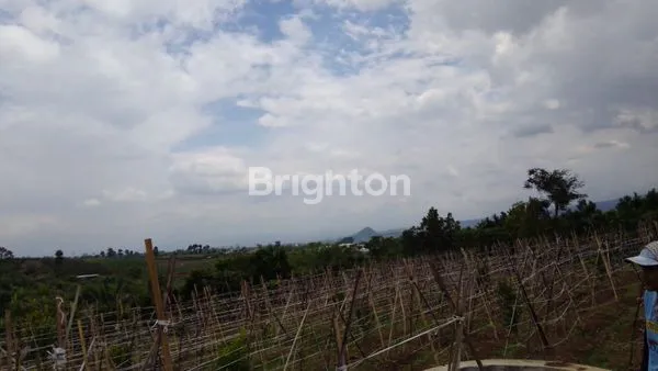 image INVESTASI TANAH PREMIUM DI BUMIAJI, LT 2.275M² (3)