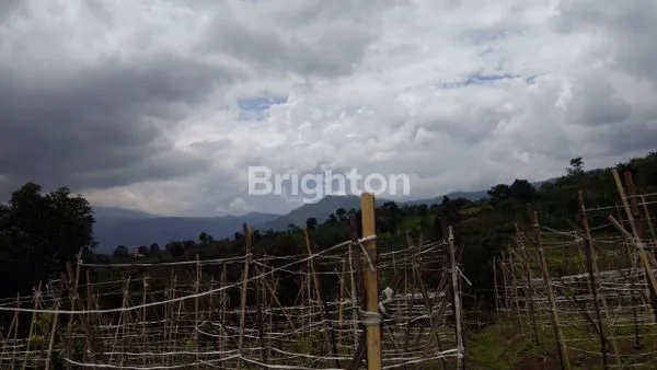 image INVESTASI TANAH PREMIUM DI BUMIAJI, LT 2.275M² (4)