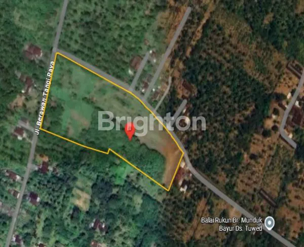 image DIJUAL TANAH LUAS 2,7 HEKTAR DI JEMBRANA BALI  (1)