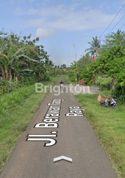 image DIJUAL TANAH LUAS 2,7 HEKTAR DI JEMBRANA BALI  (3)