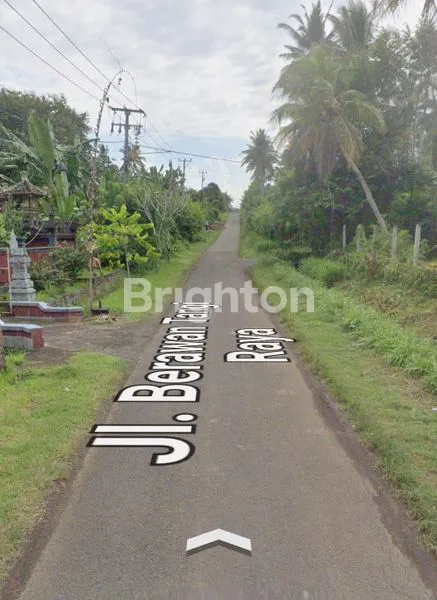 image DIJUAL TANAH LUAS 2,7 HEKTAR DI JEMBRANA BALI  (4)