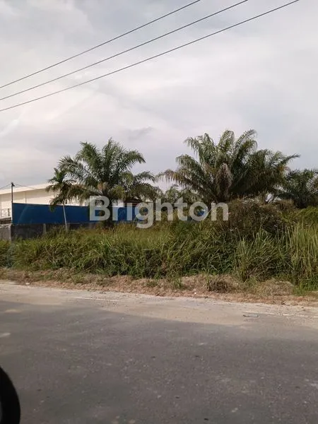 image DIJUAL TANAH KOSONG(4HA) (5)