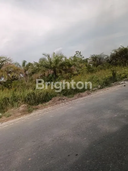 image DIJUAL TANAH KOSONG(4HA) (1)