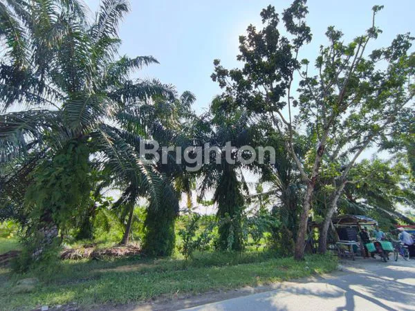 image DI JUAL 2 BUAH TANAH - KAWASAN INDUSTRI, PERCUT SEI TUAN (5)