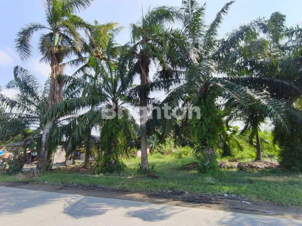 image DI JUAL 2 BUAH TANAH - KAWASAN INDUSTRI, PERCUT SEI TUAN (8)