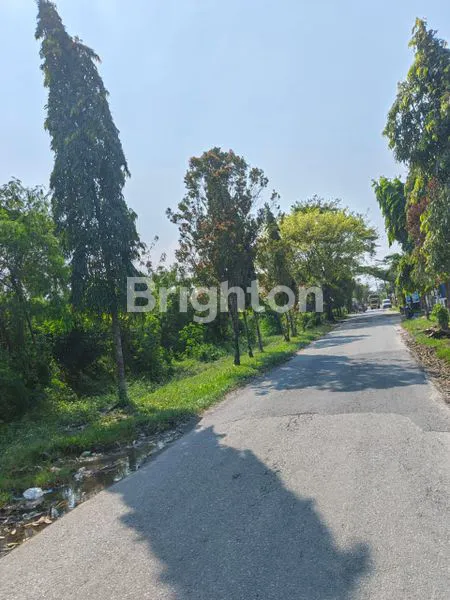 image DI JUAL 2 BUAH TANAH - KAWASAN INDUSTRI, PERCUT SEI TUAN (6)