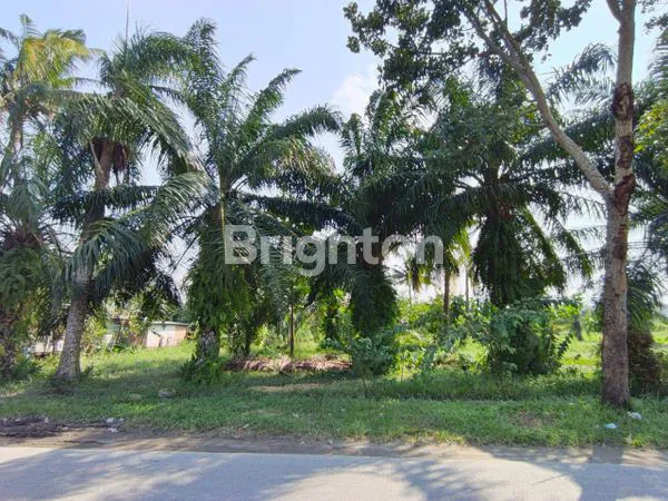 image DI JUAL 2 BUAH TANAH - KAWASAN INDUSTRI, PERCUT SEI TUAN (3)