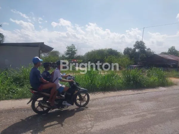 image DISEWAKAN TANAH  (2)