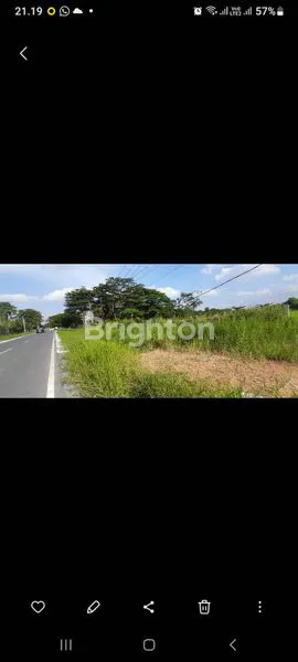 image DIJUAL TANAH  DIPINGGIR JALAN NANGKA PEKANBARU (1)