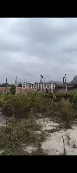 image LAHAN STRATEGIS SIAP USAHA: GUDANG, TOKO, LANTAI JEMUR & SAWAH (5)