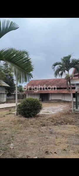 image LAHAN STRATEGIS SIAP USAHA: GUDANG, TOKO, LANTAI JEMUR & SAWAH (2)