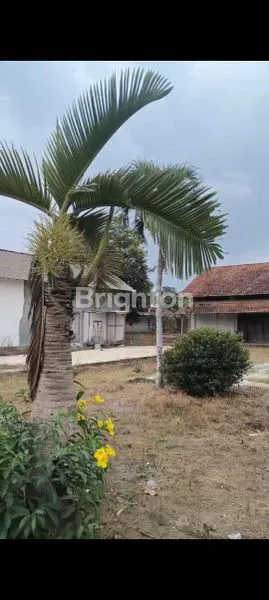 LAHAN STRATEGIS SIAP USAHA: GUDANG, TOKO, LANTAI JEMUR & SAWAH