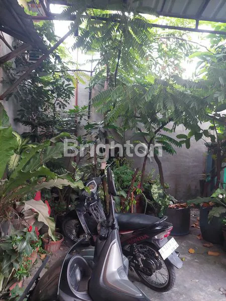 image RUMAH 1 TINGKAT (8)