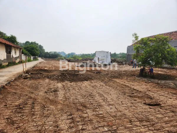 image TANAH LUAS 1,6 HEKTAR SHM DI KARAWANG, HARGA DI BAWAH NJOP (4)