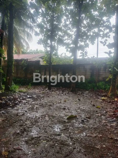 image LAHAN TANAH LUAS 4.990M2 DI JL. RAYA JAKARTA-BOGOR  (5)