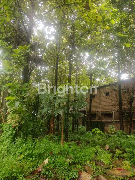 image LAHAN TANAH LUAS 4.990M2 DI JL. RAYA JAKARTA-BOGOR  (2)