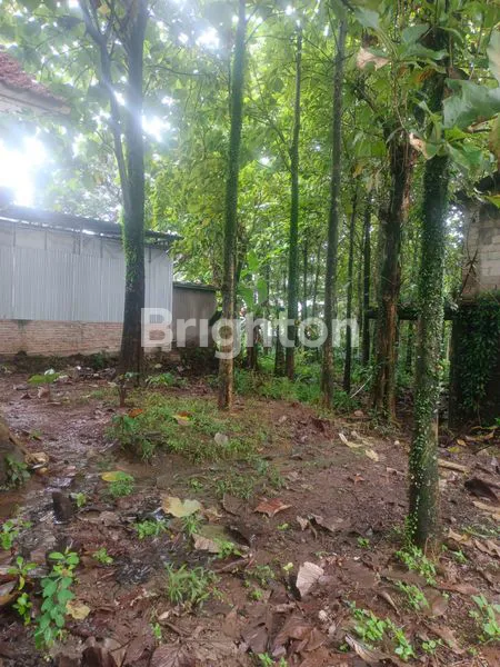 image LAHAN TANAH LUAS 4.990M2 DI JL. RAYA JAKARTA-BOGOR  (8)