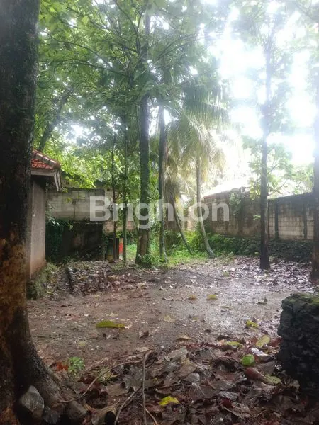 image LAHAN TANAH LUAS 4.990M2 DI JL. RAYA JAKARTA-BOGOR  (4)