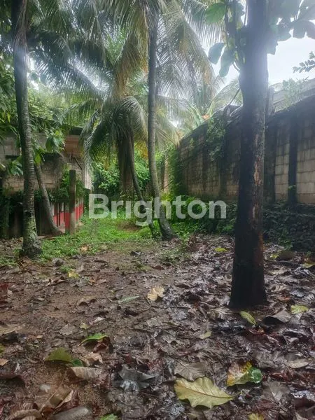 image LAHAN TANAH LUAS 4.990M2 DI JL. RAYA JAKARTA-BOGOR  (6)