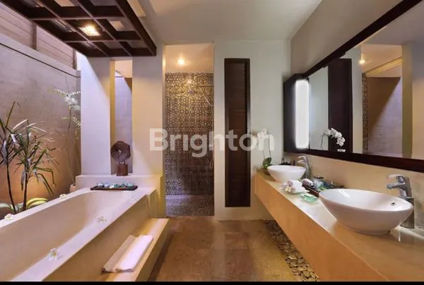 image VILLA MEWAH AKTIF DEKAT PANTAI DAERAH SEMINYAK KUTA BADUNG BALI (4)