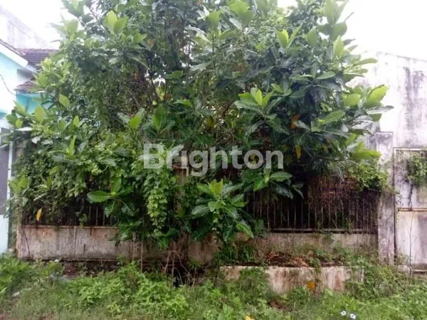 image TANAH DI TIDAR ATAS MALANG (1)