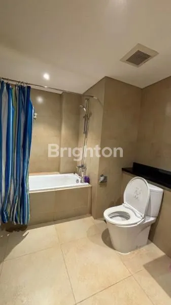 image THE BRANZ BSD (3)