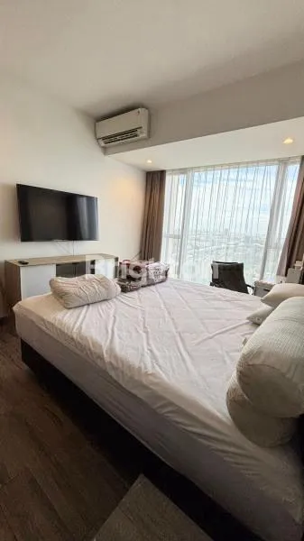 image THE BRANZ BSD (1)