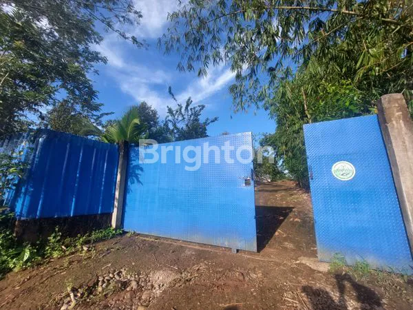 image JUAL TANAH KEBUN ISI POHON DURIAN DLLJUUA (2)