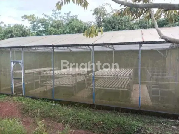 image JUAL TANAH KEBUN ISI POHON DURIAN DLLJUUA (5)