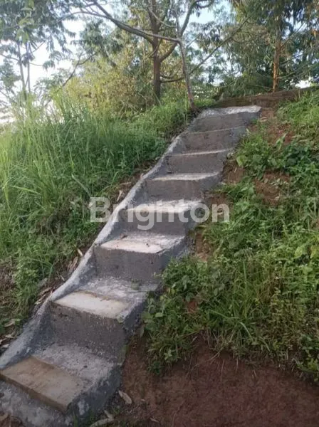 image JUAL TANAH KEBUN ISI POHON DURIAN DLLJUUA (6)