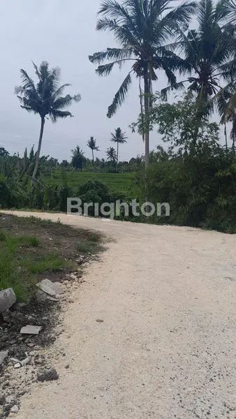 image SEWA RUMAH (3)