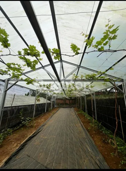 image TANAH LUAS MURAH DIJUAL BONUS VILLA (1)