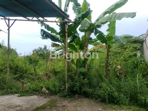 image TANAH DIJUAL (1)